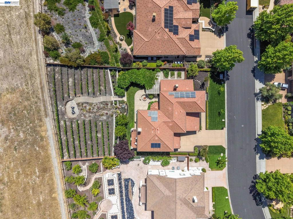387 Golden Grass Dr, Alamo, CA 94507 — MLS #41135064 — photo 67 of 71