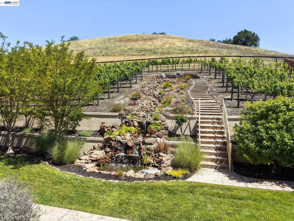 387 Golden Grass Dr, Alamo, CA 94507 — MLS #41135064 — photo 51 of 71