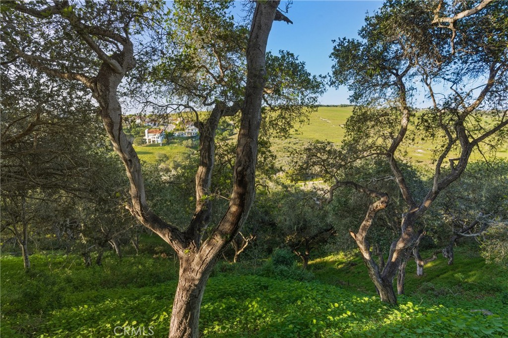 692 Shamrock, Pismo Beach, CA 93449 — MLS #PI26024986 — photo 68 of 75