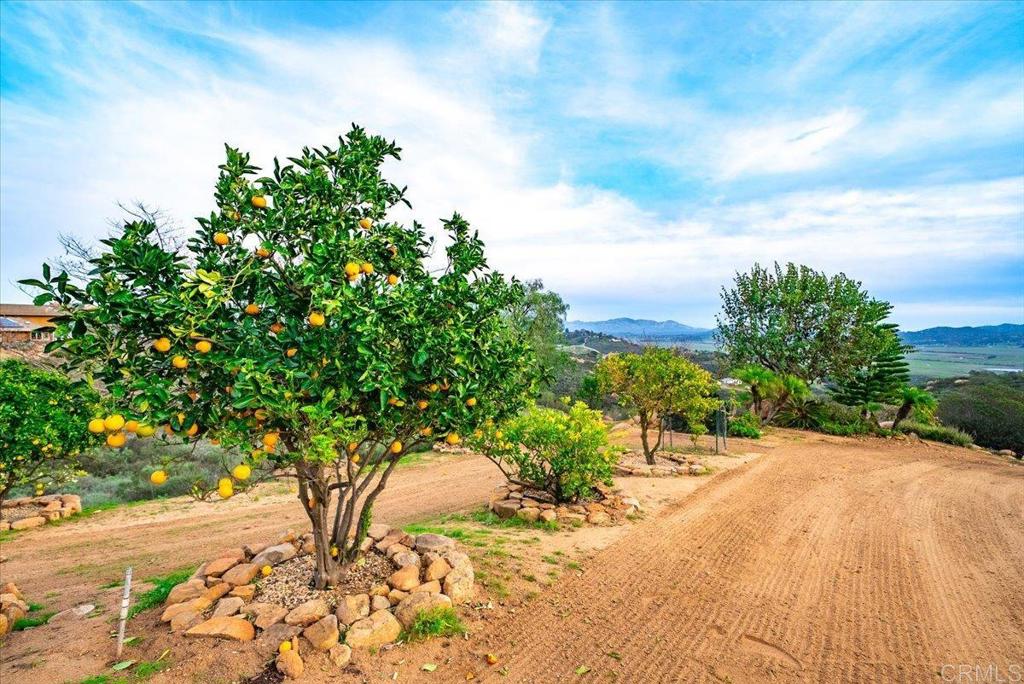 19894 Via Vista Grande, Ramona, CA 92065 — MLS #NDP2604671 — photo 44 of 46