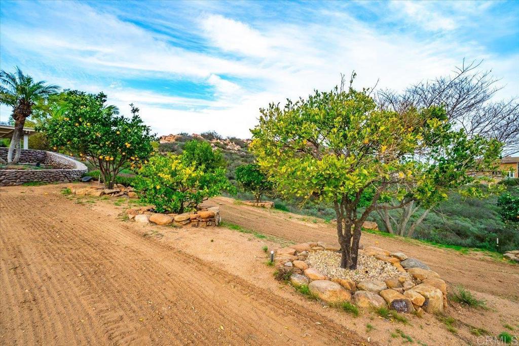 19894 Via Vista Grande, Ramona, CA 92065 — MLS #NDP2604671 — photo 43 of 46