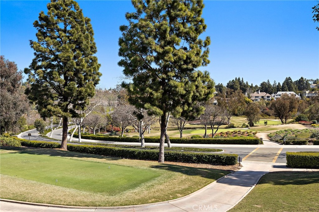 14 Rue Grand Ducal, Newport Beach, CA 92660 — MLS #NP26093740 — photo 43 of 63
