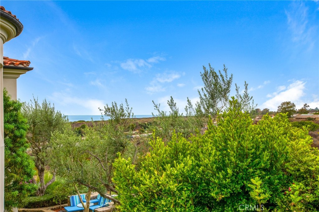 28 Sandy Cv, Newport Coast, CA 92657 — MLS #NP25007485 — photo 25 of 30